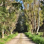 Poesis Park - Glamping Roca