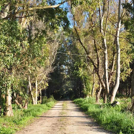 Poesis Park - Glamping Roca
