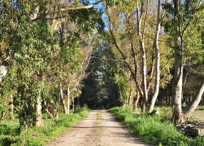 Poesis Park - Glamping Roca